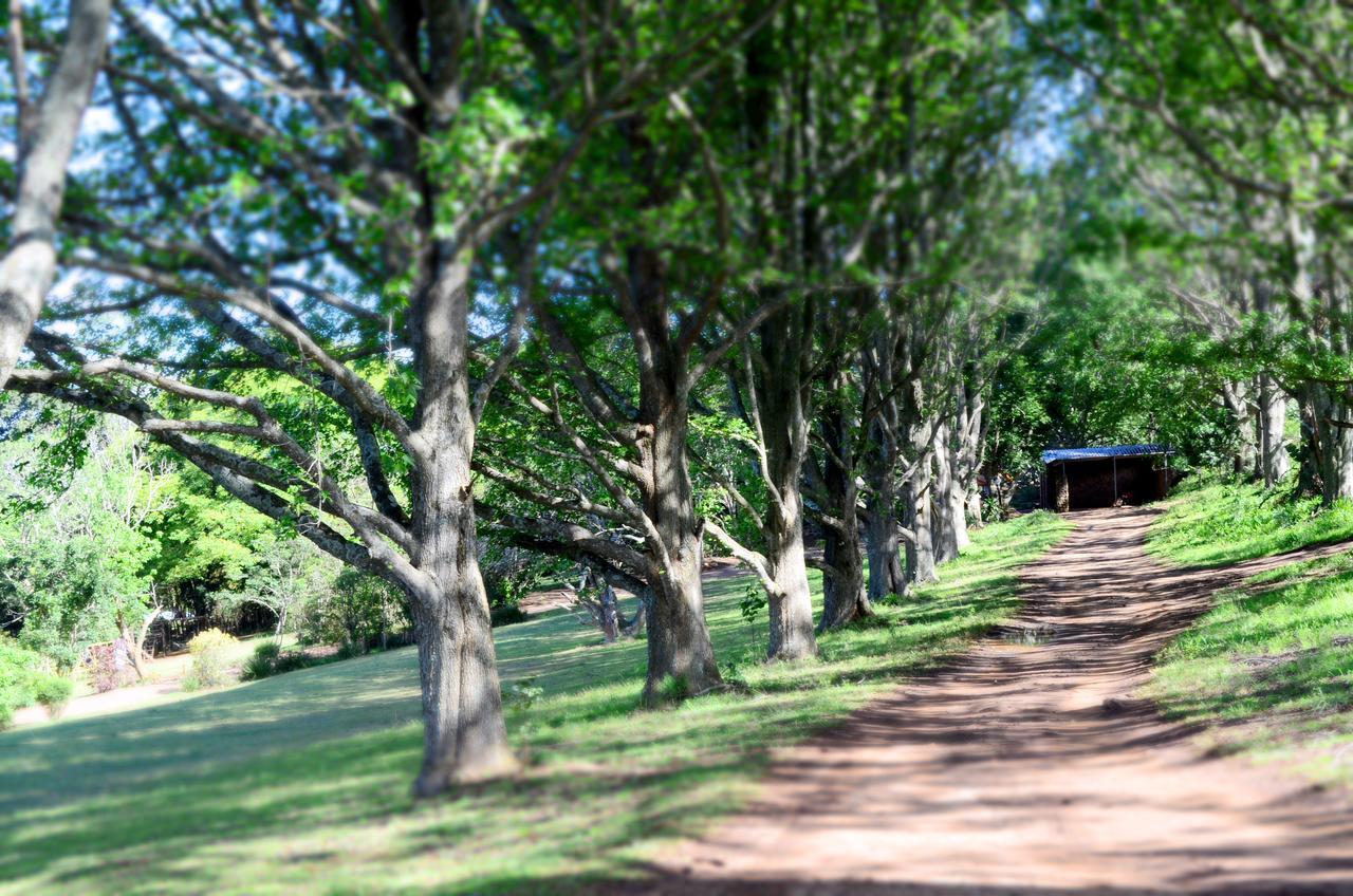 Phezulu Safari Park Villa Botha's Hill Eksteriør bilde