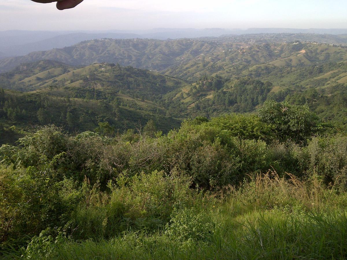 Phezulu Safari Park Villa Botha's Hill Eksteriør bilde