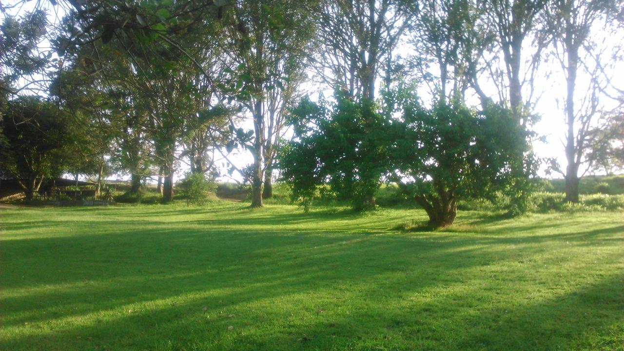 Phezulu Safari Park Villa Botha's Hill Eksteriør bilde